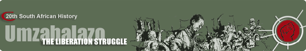 Liberation Struggle in South Africa banner